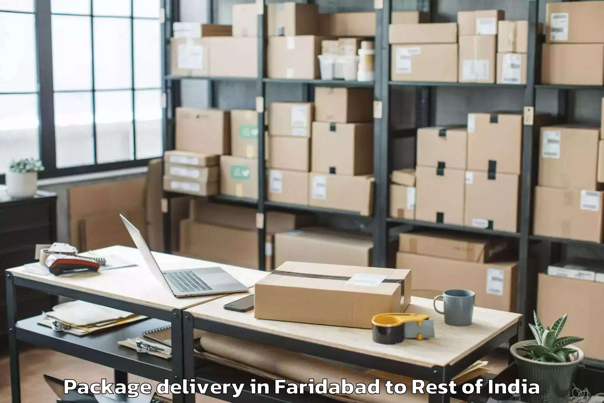 Professional Faridabad to Cherla Z Package Delivery